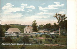 State Fish Hatchery Postcard