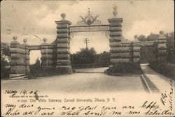 Cornell University - The White Gateway Postcard