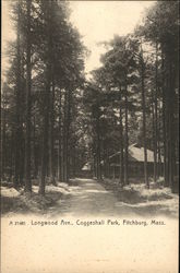 Longwood Avenue, Coggeshall Park Postcard