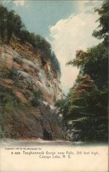 Taughannock Gorge Near Falls, Cayuga Lake Postcard