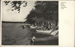 Along the Shore Canobie Lake Park, NH Postcard Postcard Postcard