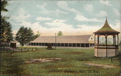 The Pines Postcard