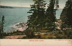 Spruce Point Spruce Point