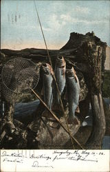 Sixteen Pounds of Rangeley Trout Fishing Postcard Postcard Postcard