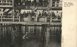 Hauling the Net Postcard