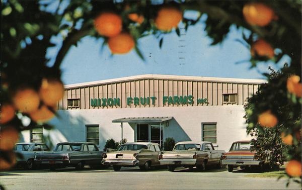 Mixon Fruit Farms Bradenton Florida
