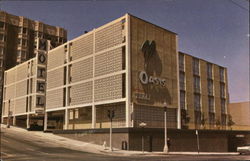 The Oasis Motel Postcard