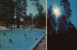 Camp Arbolado Postcard