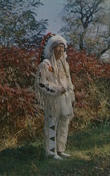 Stock #513456 Thumbnail