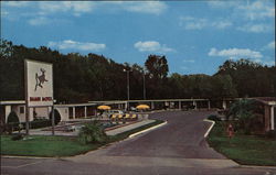 Bambi Motel Gainesville, FL Postcard Postcard Postcard