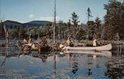Stratton Mountain Scout Reservation Postcard