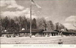 Lodge and Restaurant, White Pines Forest State Park Postcard