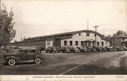 Crystal Palace at Paw Paw Lake Coloma, MI Postcard Postcard Postcard