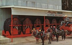 Regina's Winery Postcard