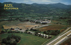 Asti, California Postcard