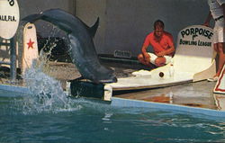 Ocean World Ocean World