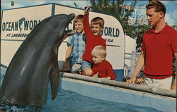 Ocean World Fort Lauderdale, FL Postcard Postcard Postcard