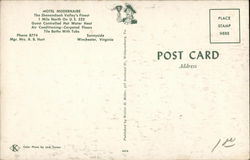 back