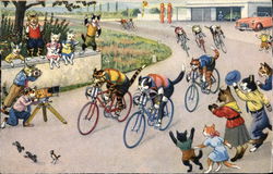 Cats on Bicycles Cats on Bicycles