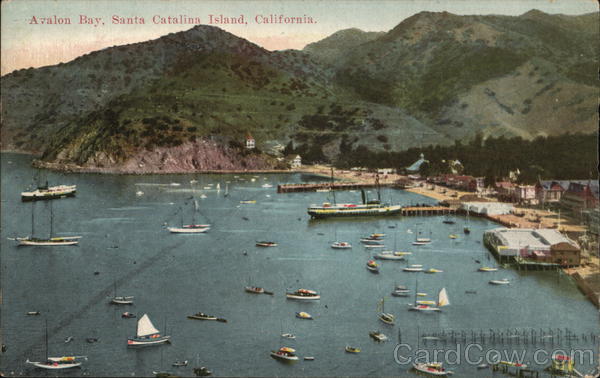 View of Avalon Bay Santa Catalina Island California