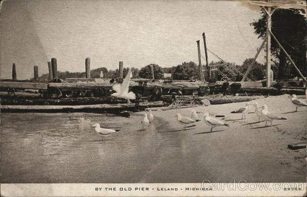 By the Old Pier Leland Michigan
