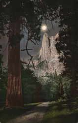 The Sentinel Postcard