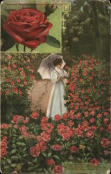 Growing Buckbee's American Beauty Roses Rockford, IL Postcard Postcard Postcard