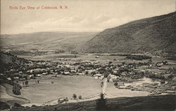 Birds Eye View of Town Postcard