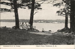 Clark's Point Postcard