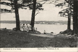 Clark's Point Wolfeboro, NH Postcard Postcard Postcard