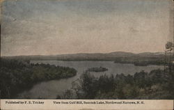 View from Gulf Hill, Suncook Lake Northwood Narrows, NH Postcard Postcard Postcard