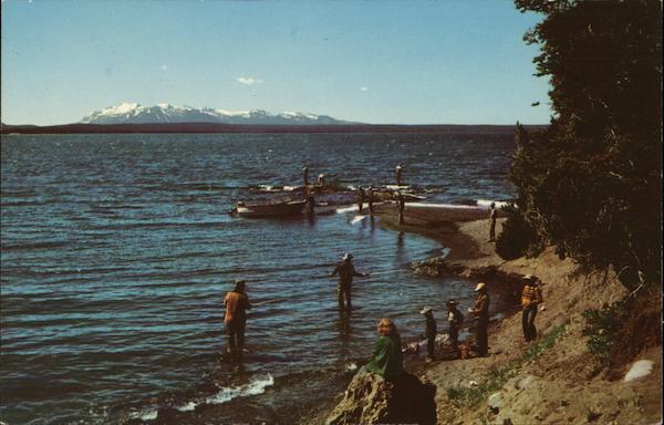 Fishing in Yellowstone Lake Yellowstone National Park