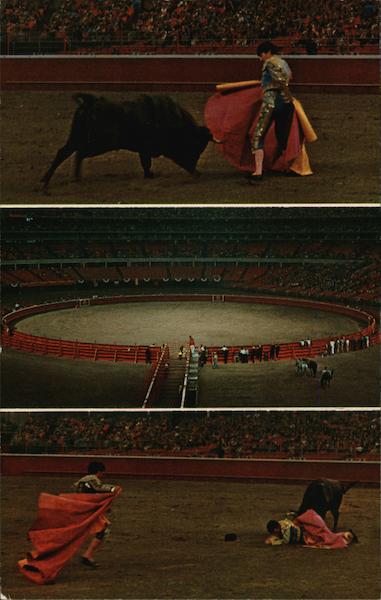 Brave Bravo in the Astrodome Houston Texas