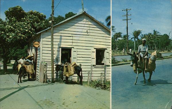 Vendedoras Campesinas Santiago Dominican Republic Caribbean Islands