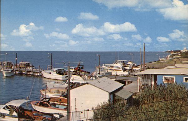 Marina Cherry Grove New York