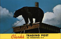 Clark's Trading Post North Woodstock, NH Postcard Postcard Postcard
