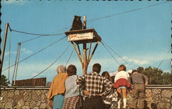 Feeding the Bears, Clark's Trading Post Postcard