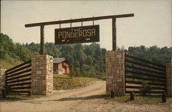 The Ponderosa Game Reserve and Stone Lodge Lookout, WV Postcard Postcard Postcard