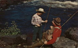 Trout Fishing Postcard Postcard Postcard