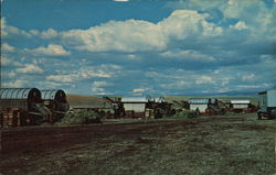 The Green Pea Harvest Vegetables Postcard Postcard Postcard