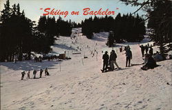 Bachelor Ski Area Postcard
