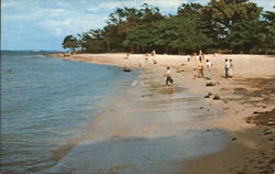 Long Beach Puerto Plata, Dominican Republic Caribbean Islands Postcard Postcard Postcard