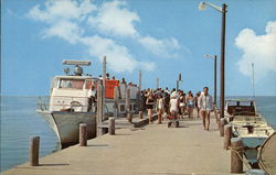 Cherry Grove - Ferry Dock Fire Island, NY Postcard Postcard Postcard
