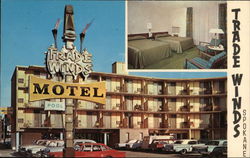 The Trade Winds Motel Postcard