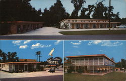 New Egret Motel Postcard