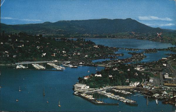 Aerial View of Southern Marin County, looking West by North Tiburon California