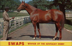 Swaps, Winner of the Kentucky Derby Swaps, Winner of the Kentucky Derby