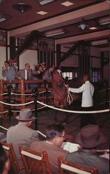 Yearlings Being Sold at Keeneland Yearlings Being Sold at Keeneland