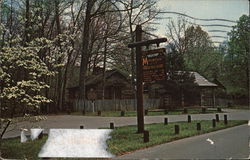 Dogwood in Bloom at Mountain Life Museum London, KY Postcard Postcard Postcard