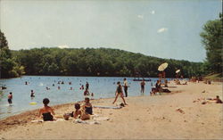 Beach at Pennyrile Forest State Park Dawson Springs, KY Postcard Postcard Postcard